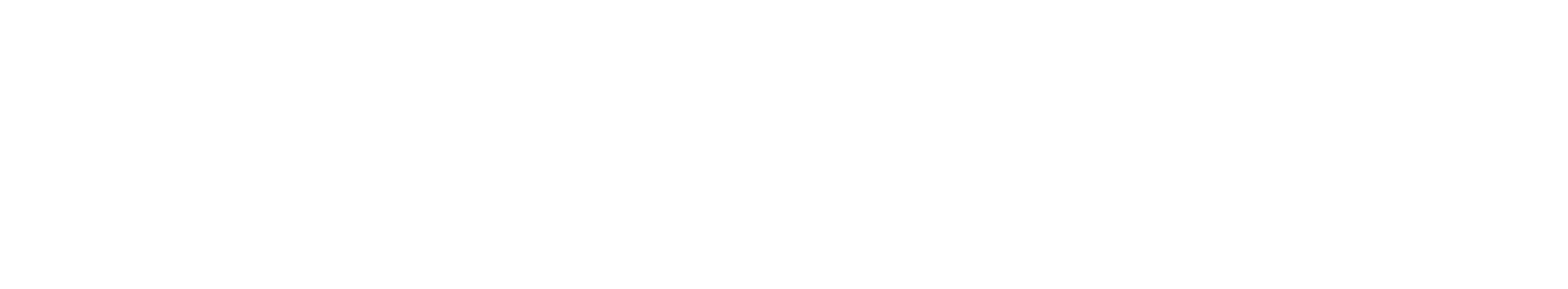 VibePass™